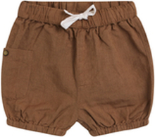 Cough & Claire Shorts Herluf Acorn