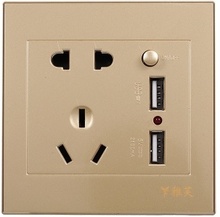 Electric Outlet with 2 Sockets and 2 USB Ports Wall Mount Socket (Gold)