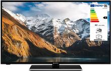 Champion: TV LED 43"" Full HD Android TV