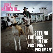 Haines Luke: Luke Haines In...Setting The Dogs..