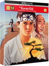 Karate kid 1-3