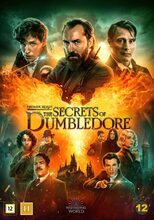 Fantastiska vidunder 3 - Dumbledores hemligheter