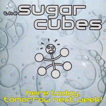 Sugarcubes: Here Today Tomorrow Next Week!
