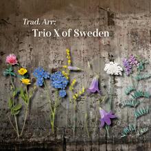 Trio X Of Sweden: Trad arr 2021
