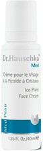 Dr. Hauschka - Ice Plant Face Cream 40 ml
