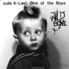 Wild Boys: Wild Boys - Last One Of The Boys
