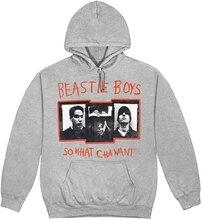 The Beastie Boys: Unisex Pullover Hoodie/So What Cha Want (Large)
