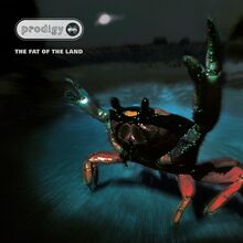 Prodigy: The fat of the land (Silver/Ltd)