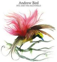 Bird Andrew: Fitz & The Dizzy Spells