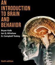 Introduction To Brain And Behavior