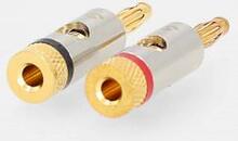 Nedis Banana Connector | Rak | Hane | Guldplaterad | Skruva | Kabel input diameter: 3.0 mm | Metall | Guld | 2 st. | Kuvert