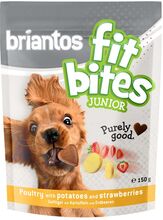 Briantos "FitBites" Junior - Geflügel mit Kartoffeln & Erdbeeren - 3 x 150 g