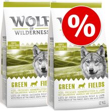 Sparpaket 2 x 12 kg Wolf of Wilderness - Wild Hills - Ente