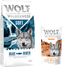 12 kg Wolf of Wilderness 12 kg + 100 g Training "Explore" på köpet! - Blue River - Salmon (halvfuktigt)