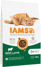 10 kg IAMS kattefôr til spesialpris! - Adult med lam (10 kg)