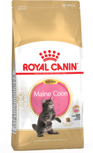 Økonomipakke: 2 store poser Royal Canin kattetørfoder - Maine Coon Kitten (2 x 10 kg)