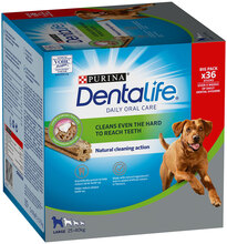 Purina Dentalife -hammashoitoherkut erikoishintaan! - suurille koirille (25-40 kg) - 36 tikkua (12 x 106 g)