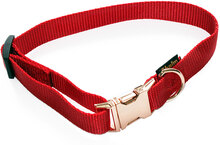 Home Collar Locked Rosé, Röd - 30-50 cm halsomfång, B 18 mm