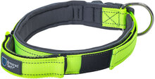 ArmoredTech Dog Control Halsbånd, neon grønn - Str L: Halsomfang 45-53 cm, Bredde 35 mm