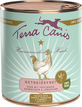 Ekonomipack: Terra Canis Grain Free 12 x 800 g - Blandpack: Vilt + Kyckling
