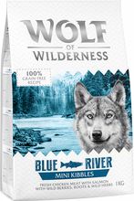 Wolf of Wilderness Mini "Blue River" - Laks - 1 kg