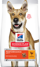 Hill's Science Plan Adult 1+ Performance med Kylling - 14 kg