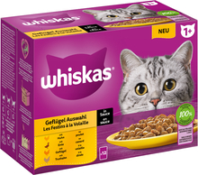 Whiskas 1+ Adult portionspåsar 12 x 85 g - Fjäderfäurval i sås