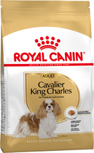 Royal Canin Cavalier King Charles Adult - 7,5 kg
