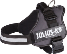 JULIUS-K9®-Power-koiranvaljaat, antrasiitti - koko 1/L: 66–85 cm