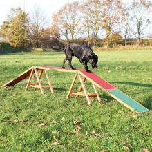 Trixie Dog Activity Agility balanshinder - L 456 x B 30 x H 64 cm