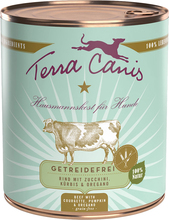 Ekonomipack: Terra Canis Grain Free 12 x 800 g - Blandpack: Kalkon + Nötkött
