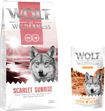 12 kg Wolf of Wilderness 12 kg + 100 g Training "Explore" på köpet! - Scarlet Sunrise - Salmon & Tuna