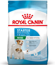 Royal Canin Mini Starter Mother & Babydog - säästöpakkaus: 2 x 8 kg