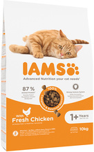 10 kg IAMS kattefôr til spesialpris! - Adult med kylling (10 kg)