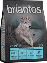 Briantos Grain Free Adult Lax & potatis - 1 kg