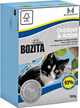 Økonomipakke Bozita Feline Tetra Recart 12 x 190 g - Outdoor & Active