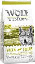 Økonomipakke: 2 x 12 kg Wolf of Wilderness - Mix: 2 varianter, Green Fields & Sunny Glade