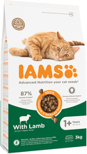 IAMS Advanced Nutrition Adult Cat med lam - 3 kg