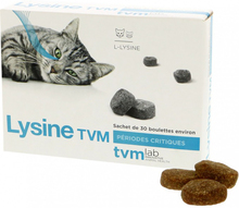 TVM Lysine katt - 30 x 2 g