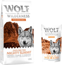 12 kg Wolf of Wilderness 12 kg + 100 g Training "Explore" på köpet! - Explore The Mighty Summit - Chicken (Performance)