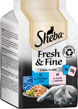Multipakke Sheba Fresh & fine 6 x 50 g - Tunfisk og laks i gelè