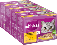 Økonomipakke: Whiskas Senior portionsposer 96 x 85 g - 11+ Fjerkræudvalg i gelé