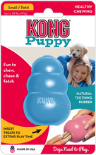 KONG Puppy - S, blå