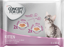 Provpack: Concept for Life 4 x 85 g - Kitten