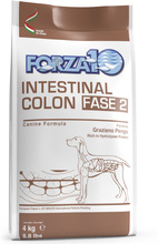 Forza 10 Active Line Intestinal Colon Phase 2 - Ekonomipack: 2 x 4 kg
