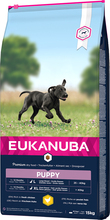 Eukanuba Puppy Large Breed Chicken - 15 kg
