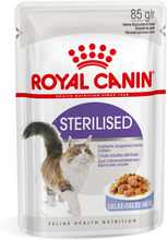 Royal Canin Sterilised i Gelé - 12 x 85 g