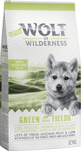 Prøvepris: 12 kg Wolf of Wilderness + 6 x 400 g / 6 x 800 g vådfoder - Junior: Green Field Lam & Blue River Laks (12 kg Lam + 6 x 800 g Laks)