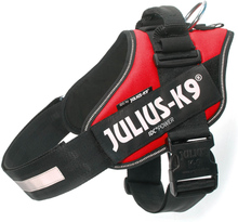 JULIUS-K9 IDC®-Powersele röd - Stl. 1: bröstomfång 63 - 85 cm