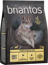 Briantos Grain Free Adult Mobility Kyckling & potatis - Ekonomipack: 4 x 1 kg